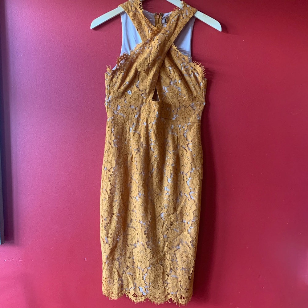 New without tags, lace Akira dress